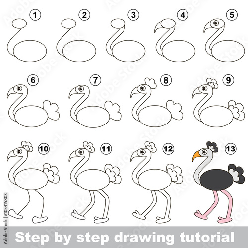 Ostrich. Drawing tutorial.