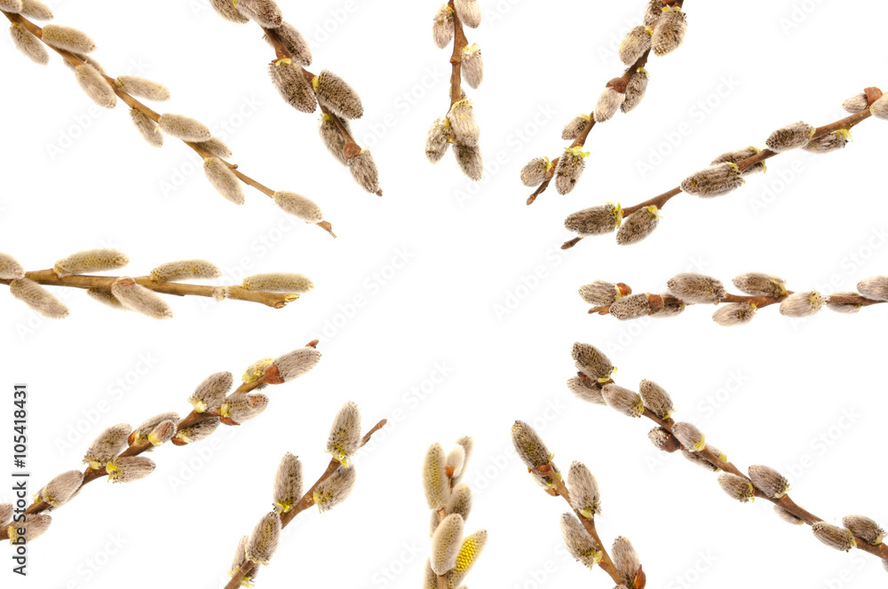 Frame a circle of willow branches. Isolated on white background Frame a circle of willow branches. Isolated on white background