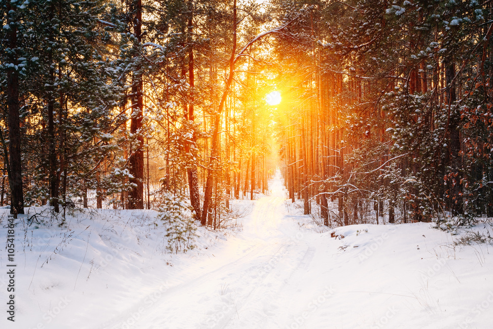 Amazing Beautiful sunset sunrise sun sunshine in sunny winter sn Amazing Beautiful sunset sunrise sun sunshine in sunny winter sn