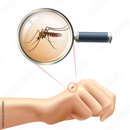 Mosquito on hand