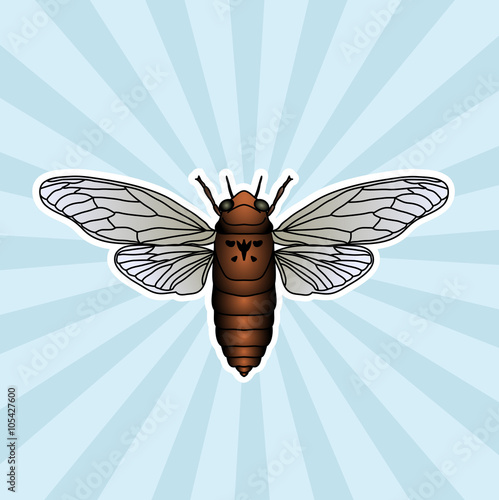 Insect anatomy. Sticker cicada. Cicadidae. Chremistica umbrosa. Sketch of cicada.  cicada Design for coloring book. hand-drawn cicada. Vector photo
