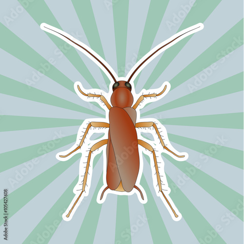 Insect anatomy. Sticker Blattella germanica. cockroach. Sketch of cockroach.  cockroach  hand-drawn cockroach. Vector