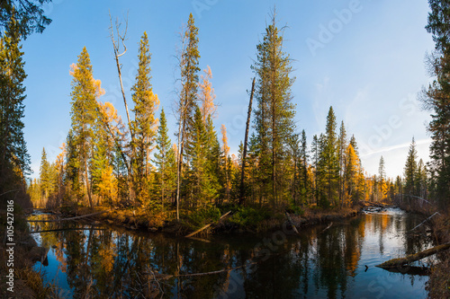 Taiga river in the autumn forest