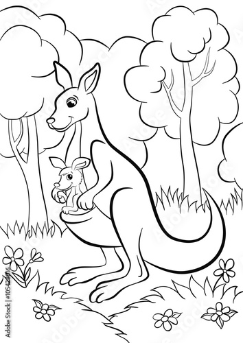 Coloring pages. Cute kind kangaroo with the baby in the forest.