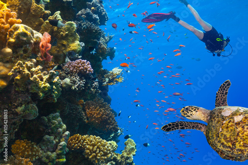 Scuba diver explore a coral reef © Jag_cz