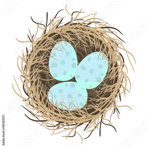 Blue azure eggs in nest isolated illustration on white. Happy Easter holiday spring vector objects for cards and scrapbook.