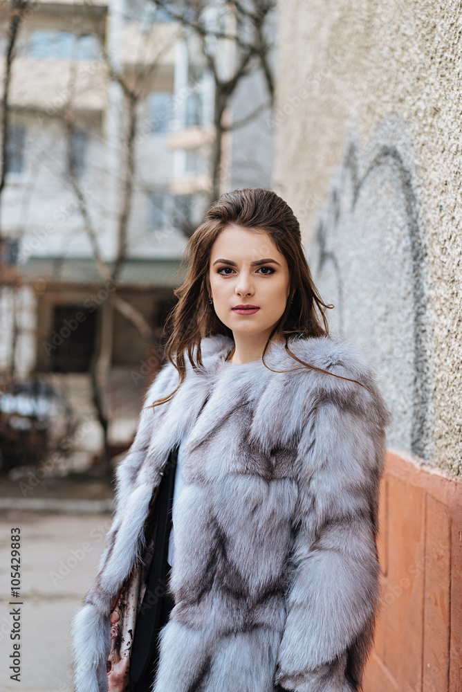 Elegant lady in a fur coat Elegant lady in a fur coat