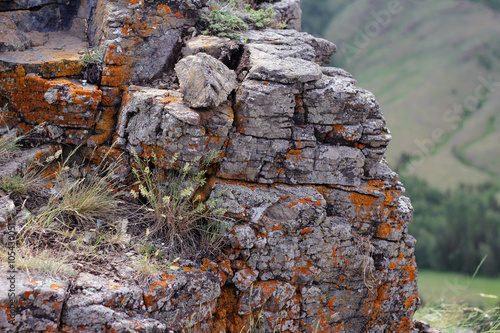 Lichen stone cliff