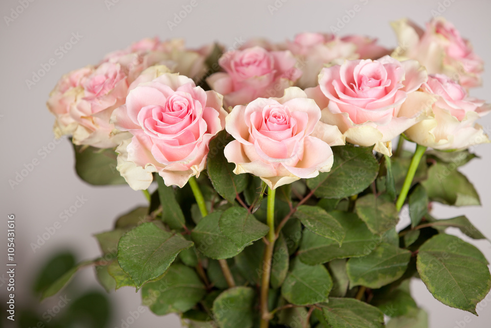 Pink roses bouquet Pink roses bouquet