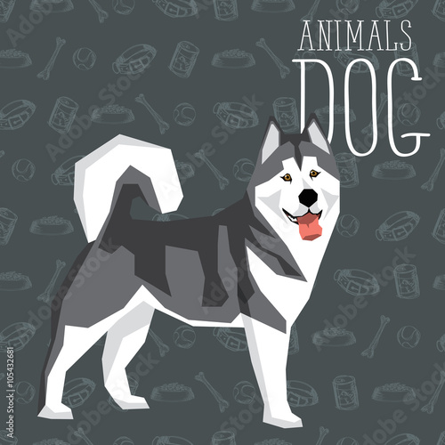Vector Dogs Collection