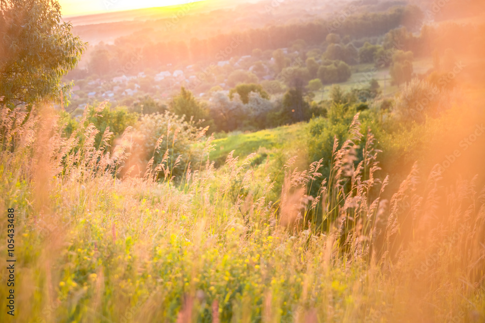 Fototapeta premium Beautiful rural landscape with sunrise over a meadow. Soft focus