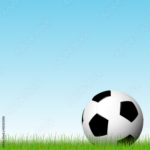soccer ball lying in the grass © picoStudio
