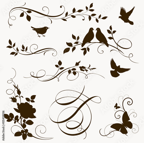 Decorative calligraphic elements. Flowers and birds silhouettes