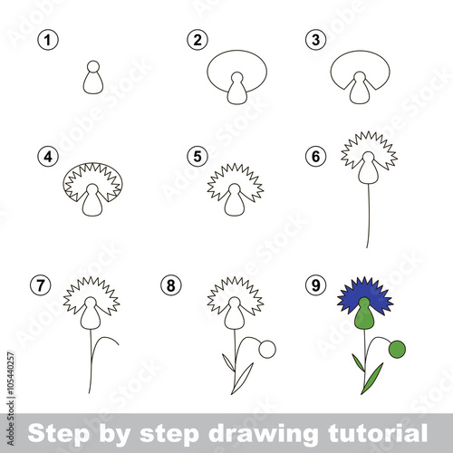 Drawing tutorial. How to draw a Cornflower