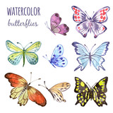Butterfly, watercolor illustration. Vector set isolated of butterflies on white background.