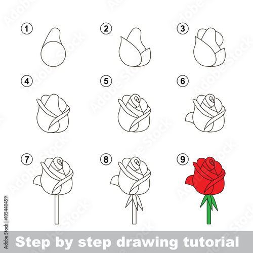 Drawing tutorial. How to draw a Rose