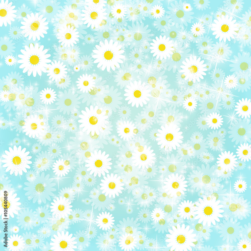 Obraz premium Petal background Daisy