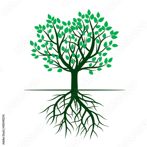 Green tree and Roots. Vector Illustration.