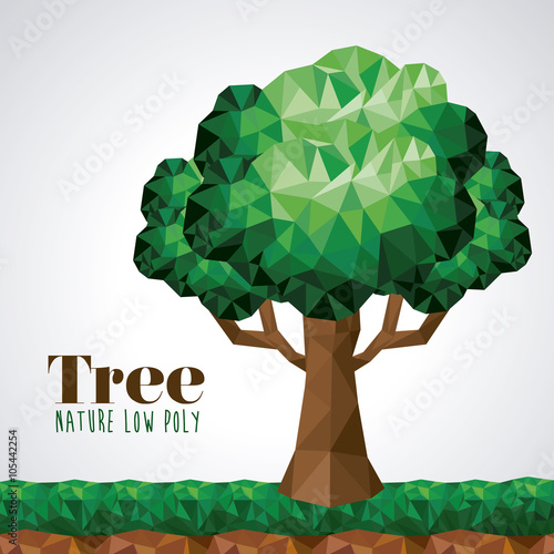 nature low poly design 