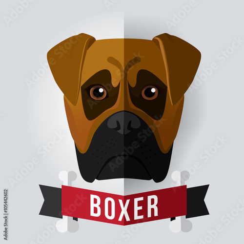 Image of a dog's face. Boxer. Vector illustration