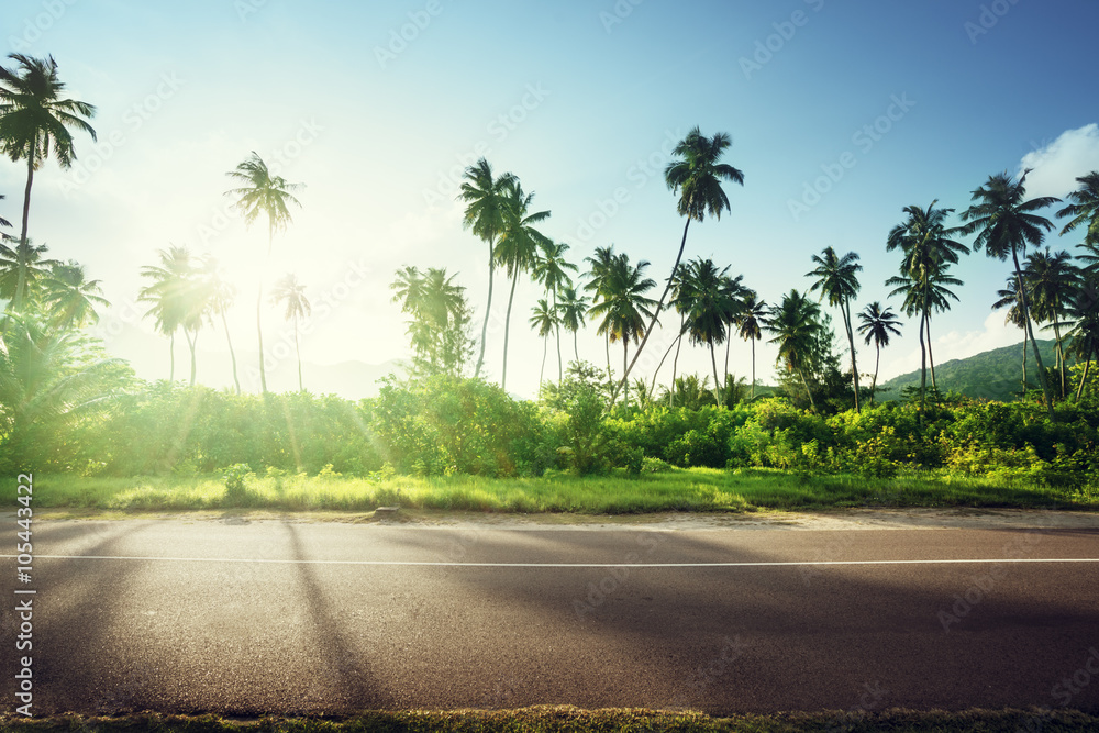 empty road in jungle of Seychelles islands empty road in jungle of Seychelles islands