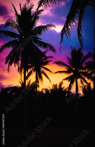 Silhouette coconut palm trees at twilight. Vintage tone.