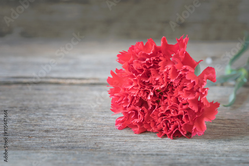 Blur red carnation flowers on wooden background.