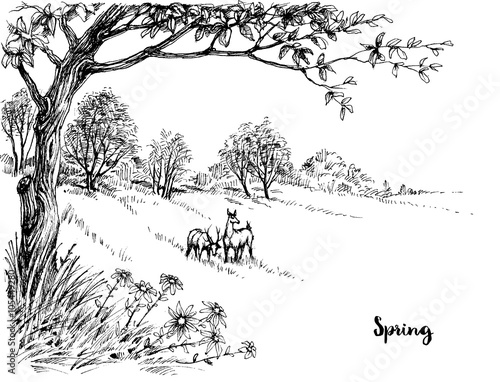 Spring in the woods sketch