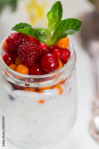 Wallpaper Mural Fresh Greek yogurt with Chia seeds and fresh berries - cranberry, raspberry and sea buckthorn. Diet. Healthy Breakfast
 Torontodigital.ca