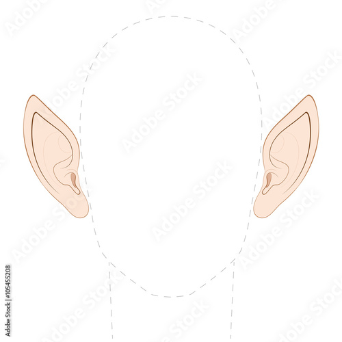 Fototapeta Pointed ears of an elf, fairy, vampire or other fantasy creature, with empty space between them to insert any photo