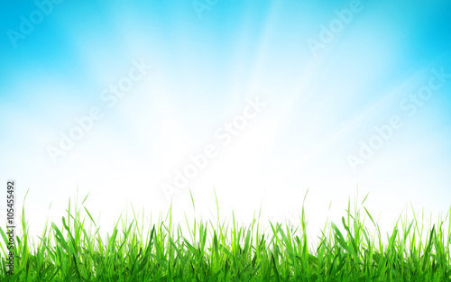 Abstract sunny spring background