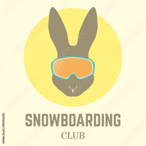 Rabbit with Snowboard goggles.