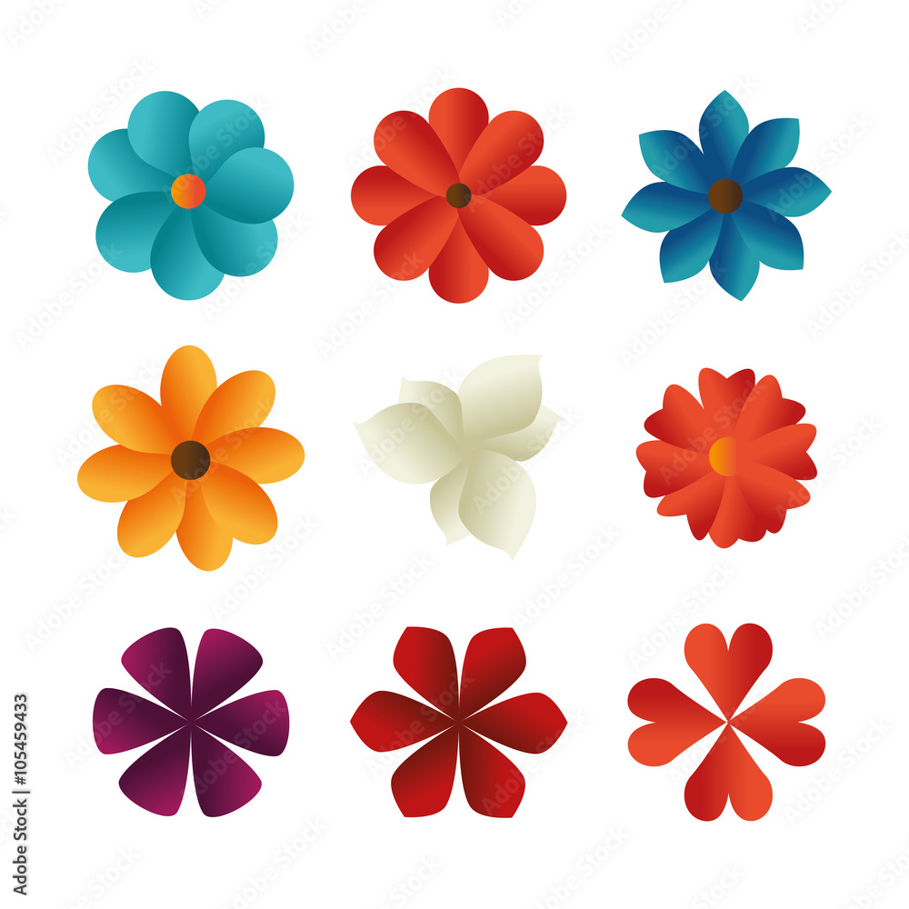 flower color design 