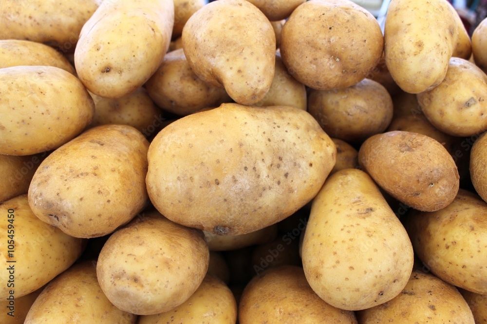 Potatoes fresh big harvest on a table Potatoes fresh big harvest on a table