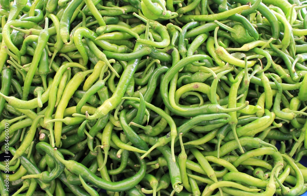 Green pepper bitter sharp big harvest on a table Green pepper bitter sharp big harvest on a table