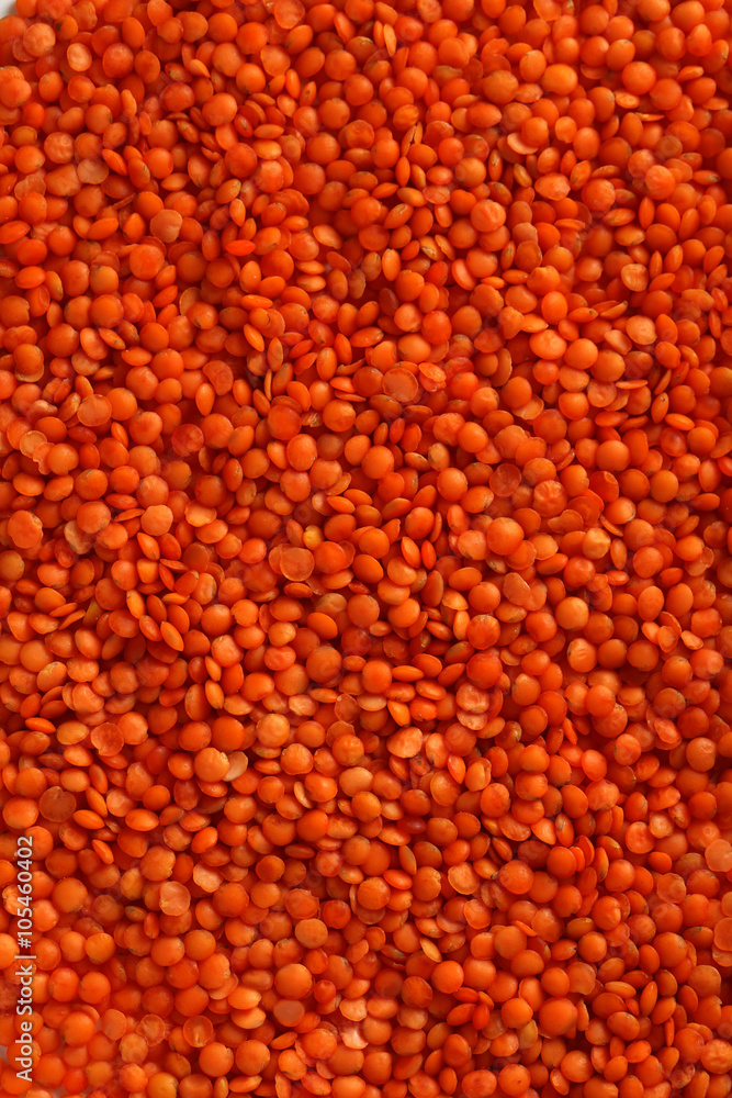Red lentils background, close up Red lentils background, close up