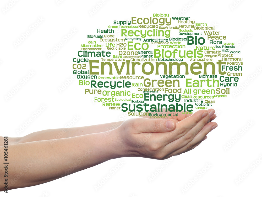 Conceptual ecology word cloud isolated Conceptual ecology word cloud isolated