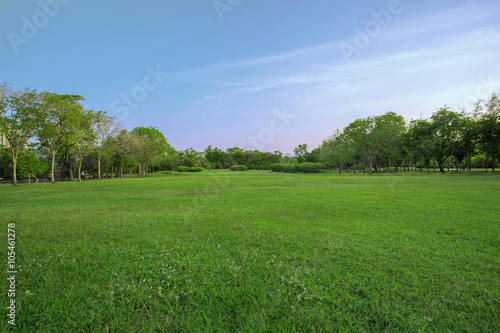 green grass field in big city park © escapejaja
