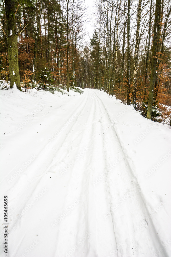 Winter landscape at the rural road in the forest. Winter landscape at the rural road in the forest.