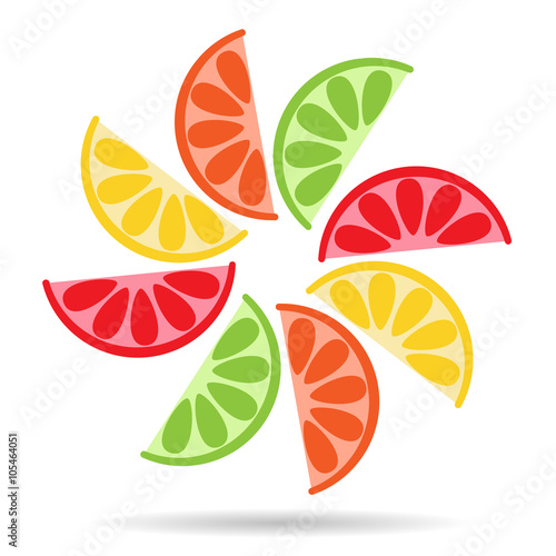 Halves of fresh citrus fruits. Vector illustration icon