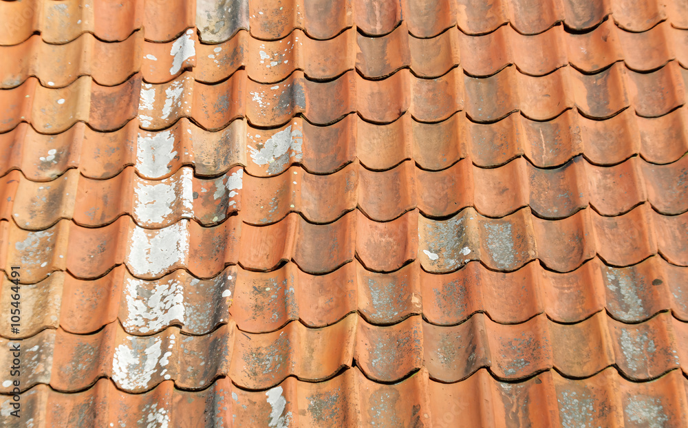 Aged tiled roof and lichen
