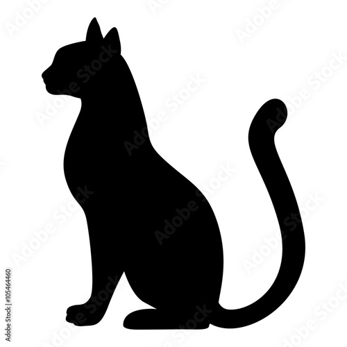 Silhouette of graceful cat