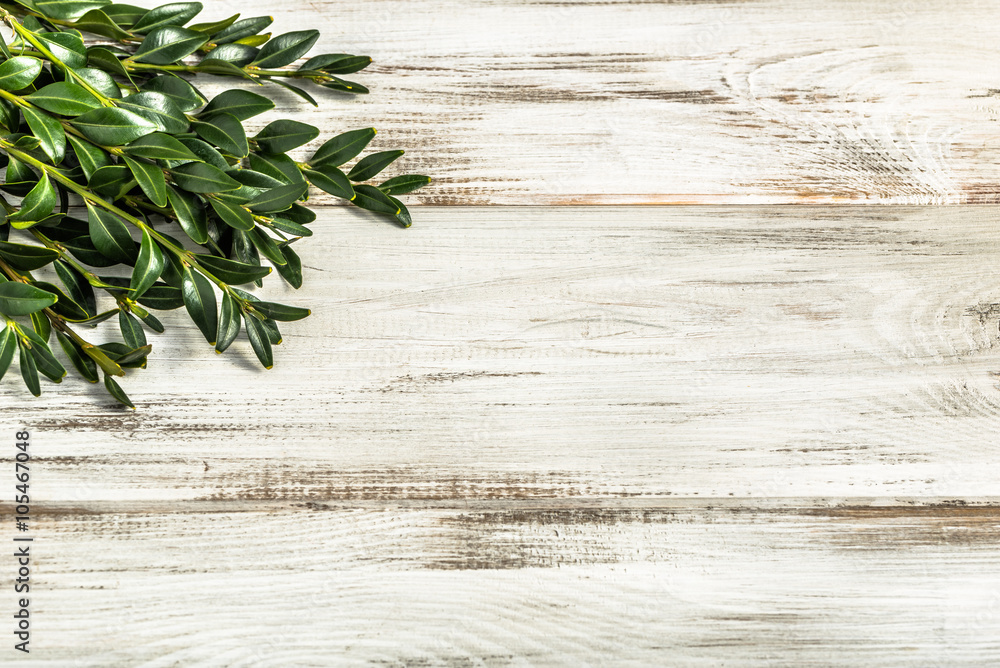 Easter boxwood as easter symbol on wooden background. Easter boxwood as easter symbol on wooden background.