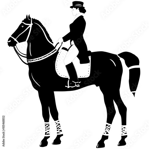 horseback riding and dressage 