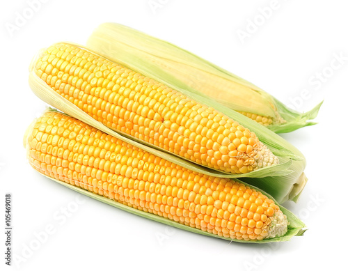 Fresh corn ear