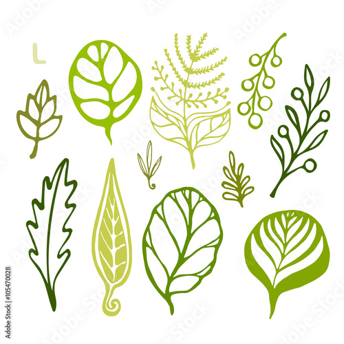 Handsketched leaves doodles set. Green silhouettes on white background. Vector