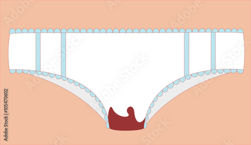Period Panties