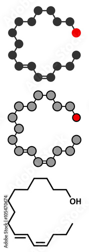 Bombykol insect pheromone molecule. 