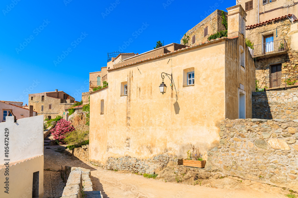 Street with traditional houses built from stones in medieval village of Sant Antonino, Corsica island, France