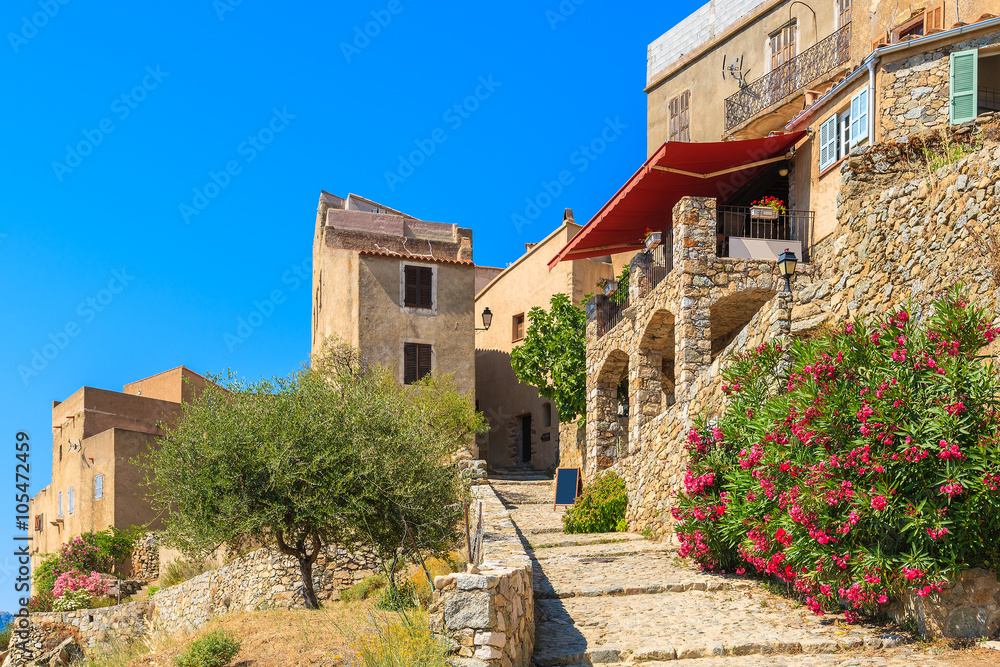 Naklejka premium A path to traditional restaurant built from stones in medieval village of Sant Antonino, Corsica island, France